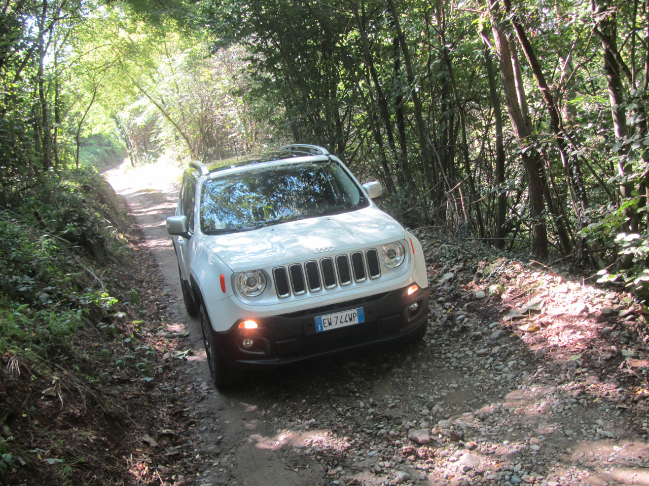 Jeep Renegade 2.0 140CV 4x4 (58)