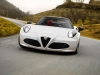 Alfa Romeo 4C Spider (67)