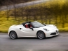 Alfa Romeo 4C Spider (77)