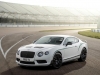 Bentley Continental GT3-R (9)