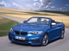 BMW Serie 2 Cabrio M235i (15)