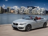 BMW Serie 2 Cabrio (1)