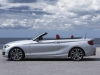 BMW Serie 2 Cabrio (17)