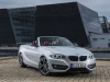 BMW Serie 2 Cabrio (29)