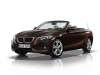 BMW Serie 2 Cabrio (42)