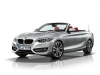 BMW Serie 2 Cabrio (43)