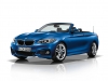 BMW Serie 2 Cabrio (45)