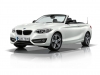 BMW Serie 2 Cabrio (46)