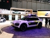 Citroen C4 Cactus Aventure - Salone di Ginevra 2014 (1)