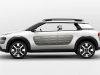 citroen-cactus-1