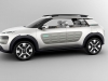 citroen-cactus-14