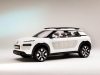 citroen-cactus-21