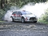 Citroen-DS3-R5-(2)