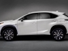 Lexus NX 200t F SPORT (21)