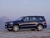 GL 350 CDI BLUETEC, Cavansitblau metallic, Designo braun (X 166) 2012