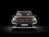 GL 350 BLUETEC, Citrinbraun metallic, Designo porcellan (X 166) 2012