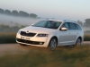 Skoda Octavia Wagon G-TEC Metano (15)