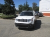 Jeep Renegade 2.0 140CV 4x4 (81)