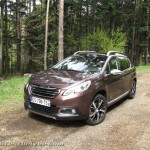 Peugeot 2008 1,6 VTi 120 CV