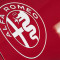 Alfa Romeo e il logo sulla Ferrari SF15-T